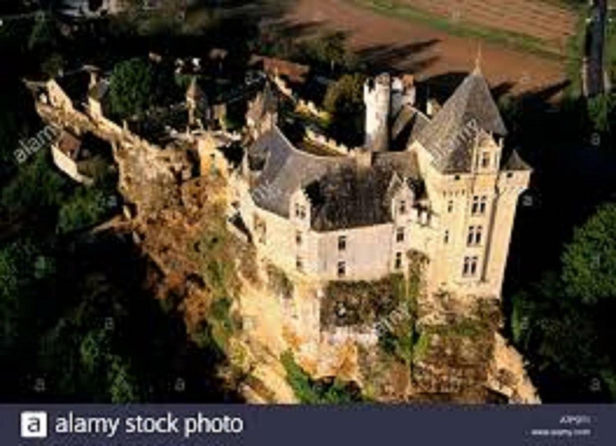 Les Pruniers De La Cipiere Villa Peyzac-le-Moustier Bagian luar foto