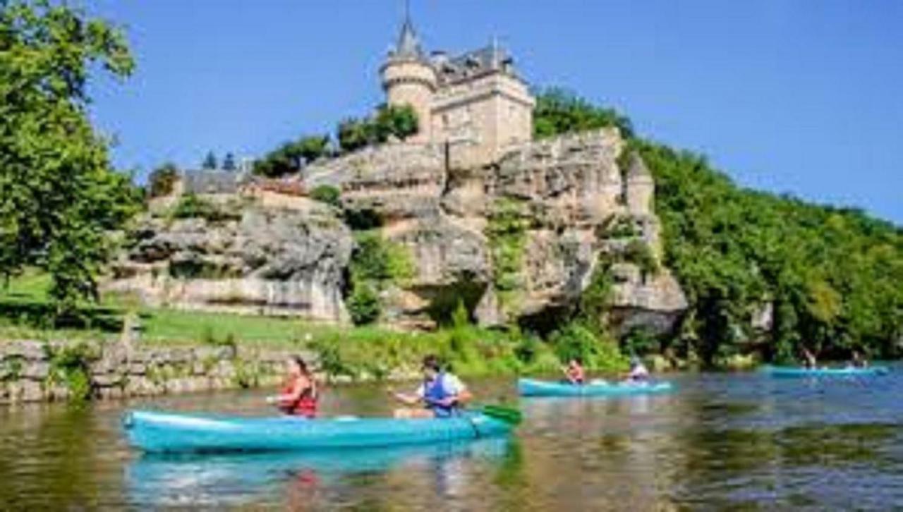 Les Pruniers De La Cipiere Villa Peyzac-le-Moustier Bagian luar foto