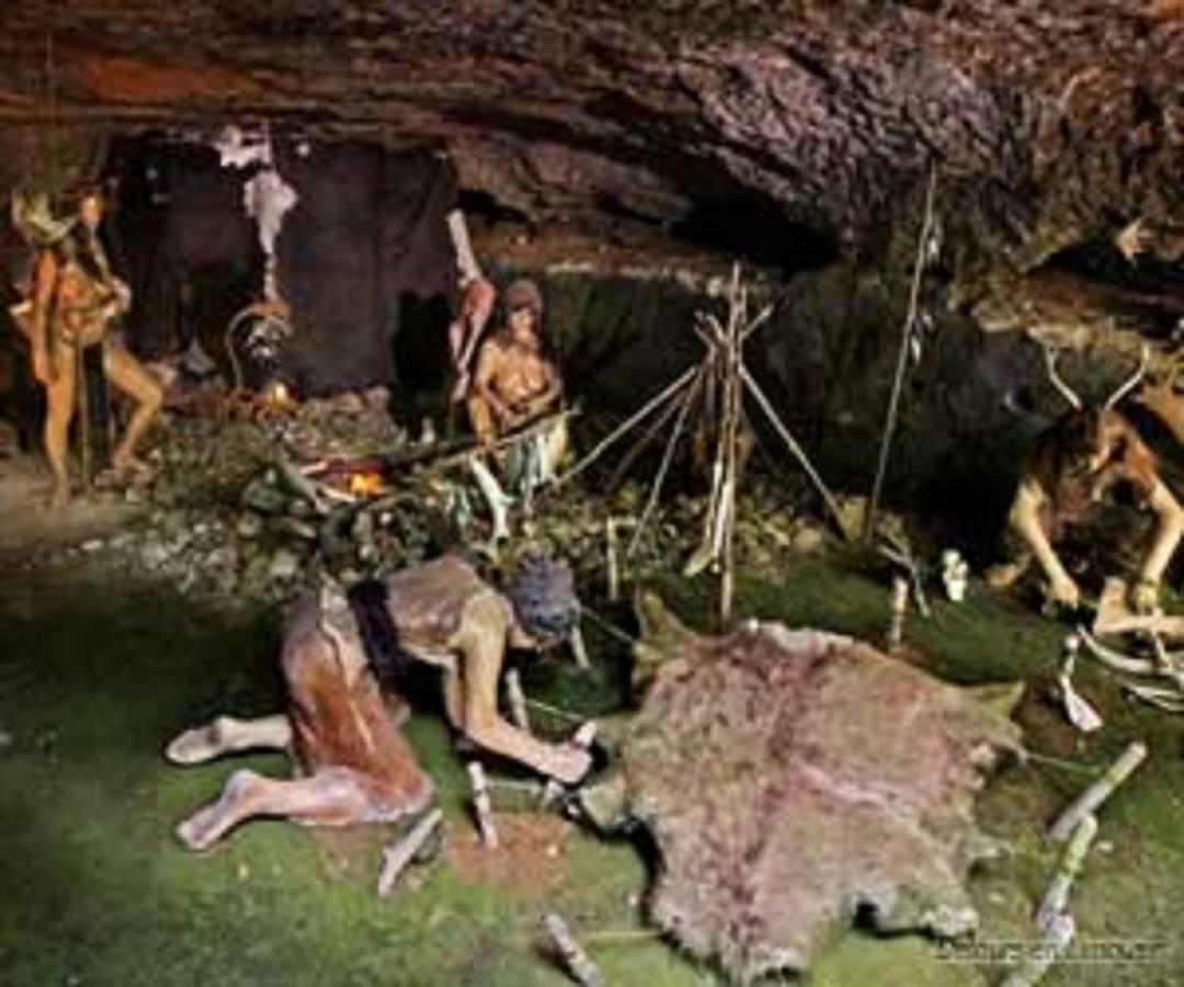 Les Pruniers De La Cipiere Villa Peyzac-le-Moustier Bagian luar foto