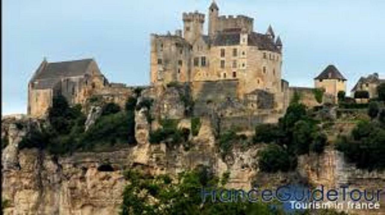 Les Pruniers De La Cipiere Villa Peyzac-le-Moustier Bagian luar foto