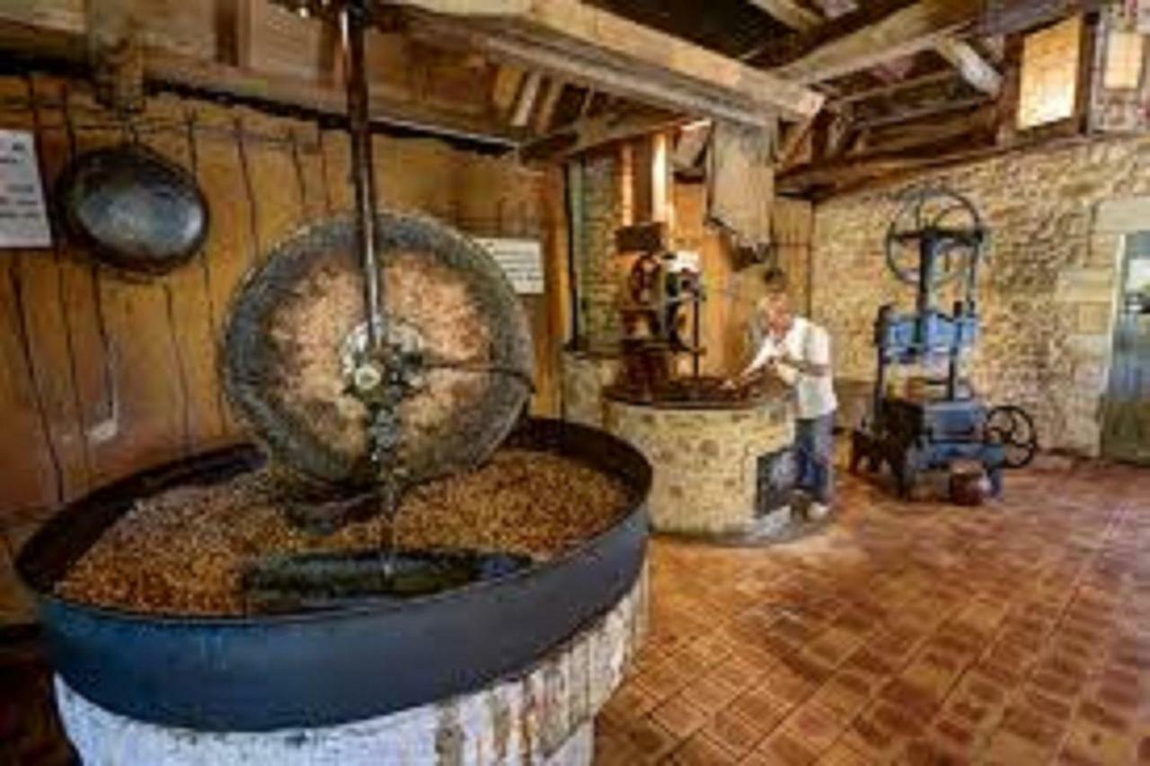 Les Pruniers De La Cipiere Villa Peyzac-le-Moustier Bagian luar foto
