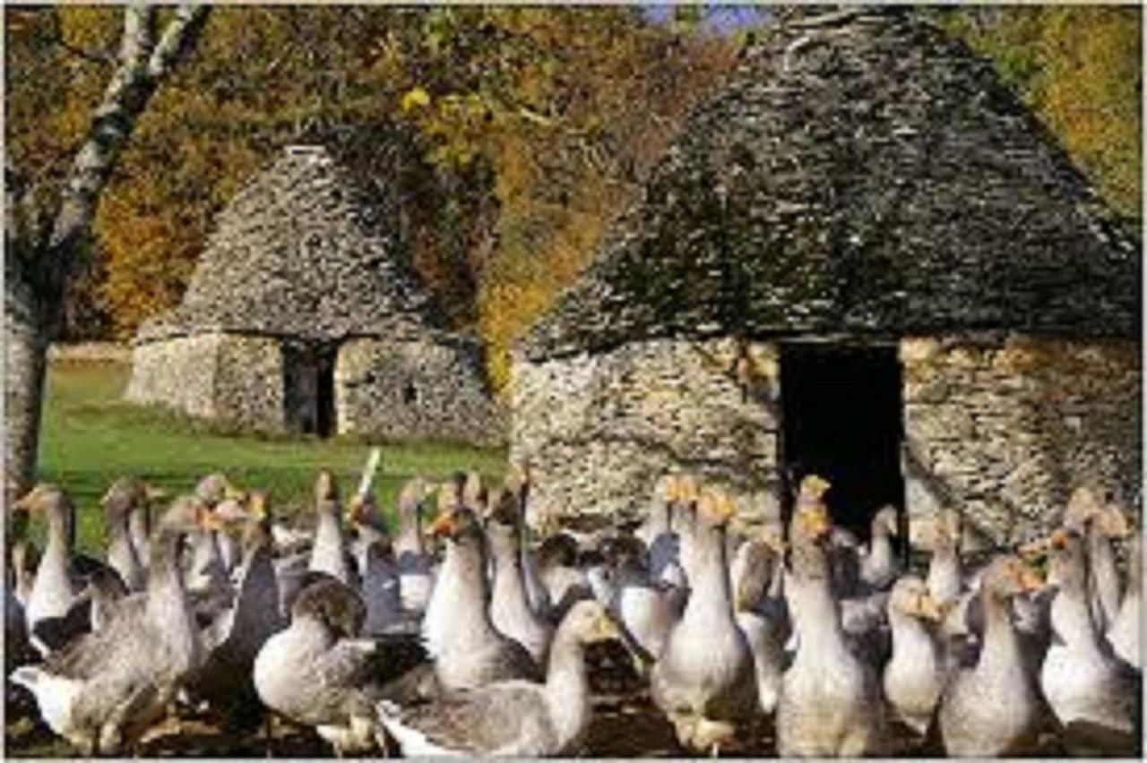 Les Pruniers De La Cipiere Villa Peyzac-le-Moustier Bagian luar foto