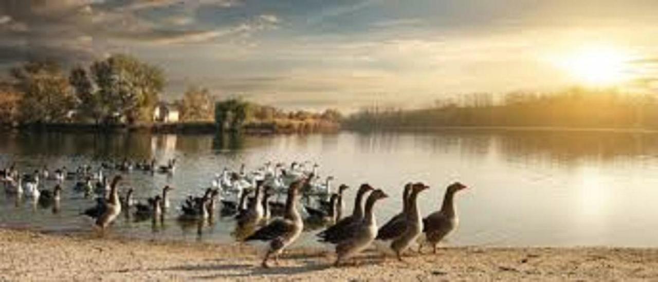 Les Pruniers De La Cipiere Villa Peyzac-le-Moustier Bagian luar foto