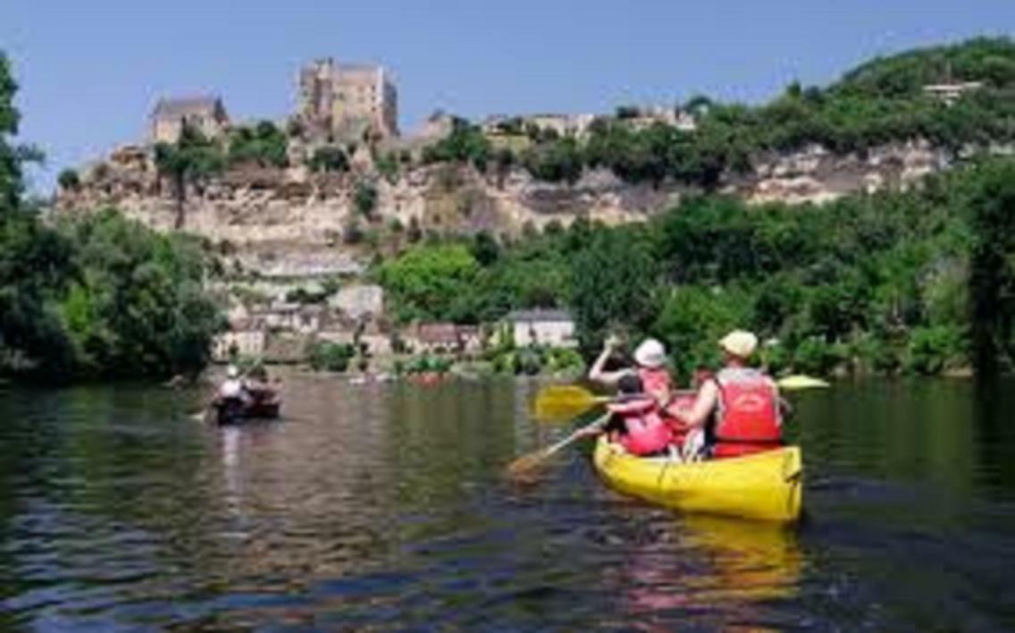 Les Pruniers De La Cipiere Villa Peyzac-le-Moustier Bagian luar foto