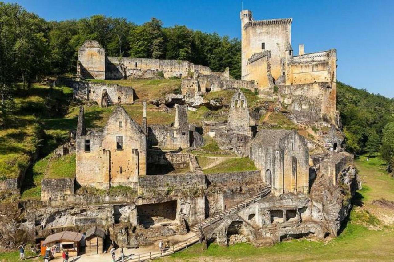 Les Pruniers De La Cipiere Villa Peyzac-le-Moustier Bagian luar foto