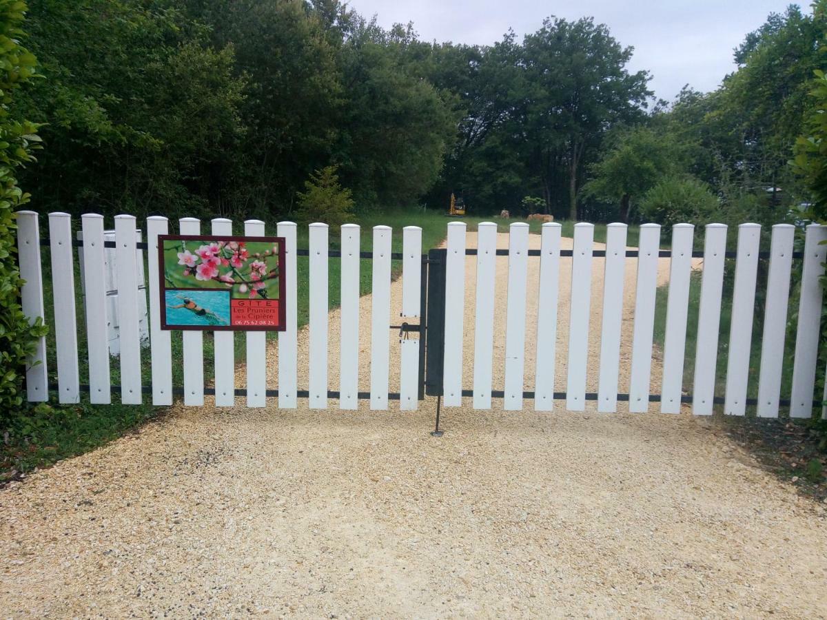 Les Pruniers De La Cipiere Villa Peyzac-le-Moustier Bagian luar foto